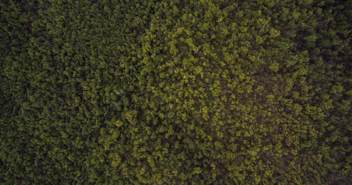 Fin de CDD 2026 : prime de précarité (10 %), congés, calcul