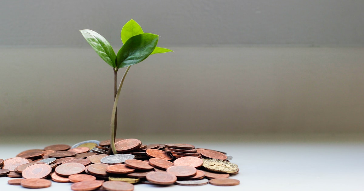 Silver économie : investir dans le vieillissement de la population